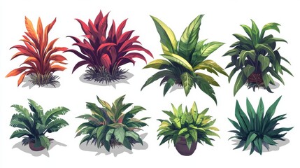 A set of jungle plants in a hand-drawn style