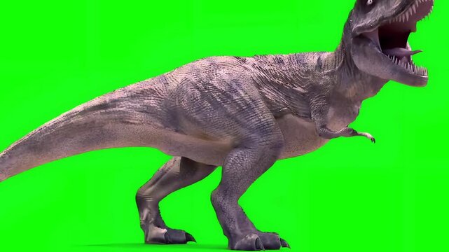 dinosaur green screen, raptor green screen