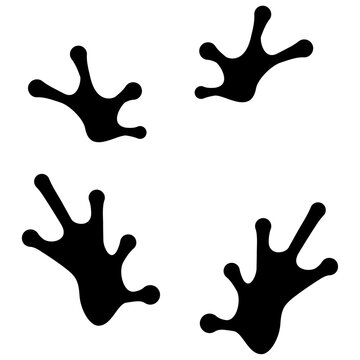 frog footprint, Frog hand foot print.