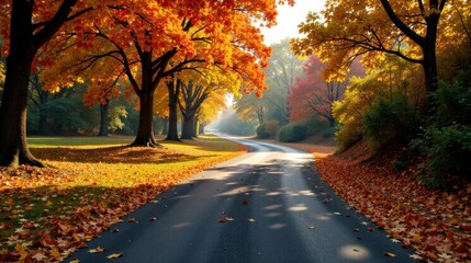 Autumnal Road Winding Through a Canopy of Vibrant Fall Foliage