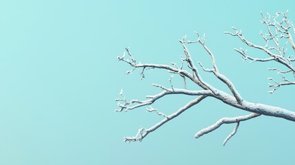 Snow-covered branches against a blue sky