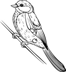 Small bird sitting on branch side view. Vector illustrations in hand drawn sketch style isolated on white. Black outline animal graphic. Design for coloring book page, print
