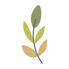 Plant leaf, branch colorful. Icon, vector