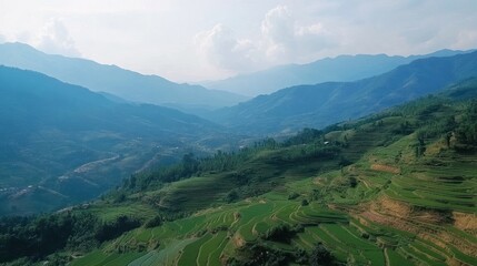 Fototapeta premium Panoramic view of terraced rice fields and mountains.