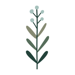 Branch with leaves and berries, isolated, vector