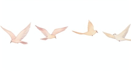 Birds as divider watercolor animal flying pigeon.