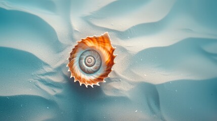 A vibrant shell rests elegantly on the sandy ocean floor, showcasing intricate patterns and colors. The serene, calming blue waters surround it in this tranquil beach scene.