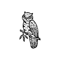 Doodle cartoon hand-drawn of an owl bird perched on the branch with leaves.