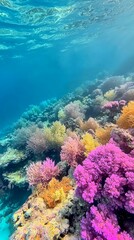Fototapeta premium Vibrant Coral Reef under Clear Blue Ocean Water in Tropical Paradise