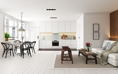 Modern, minimalist kitchen and living room