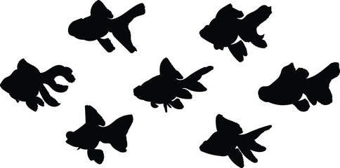 Silhouette fish black moor goldfish on white background, vector illustration