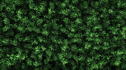 Obraz premium Dark Green Lush Foliage Texture Background