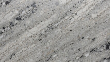  Variegated Gray and White Granite with High Mineral Contrast and Natural Imperfections