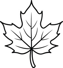 Maple Leaf Outline Vector – Hand-Drawn Autumn Leaf Illustration