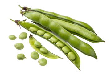 broad beans on a white isolated on transparent background png