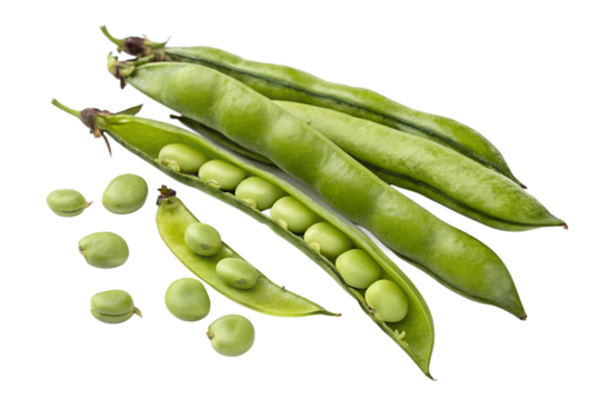 broad beans on a white isolated on transparent background png