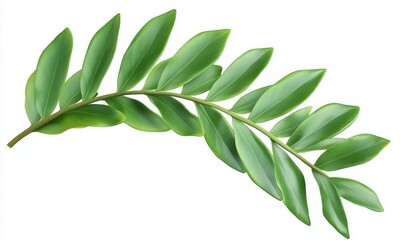 A vibrant green leaf branch with lush foliage against a clean white background, ideal for nature themes