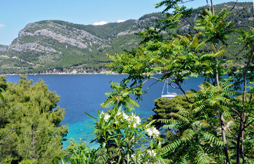 Natur am Vucine Beach