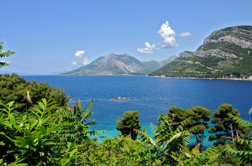 Fototapete bei efototapeten.de bestellen   