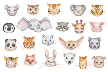 Watercolor illustrations. Cute cartoon animal set. Hand painted elephant, bear, owl, mice, koala, panda. Fox, rabbit, hare, pig, giraffe. Panther, raccoon, penguin, tiger, fennec. Isolated clip art