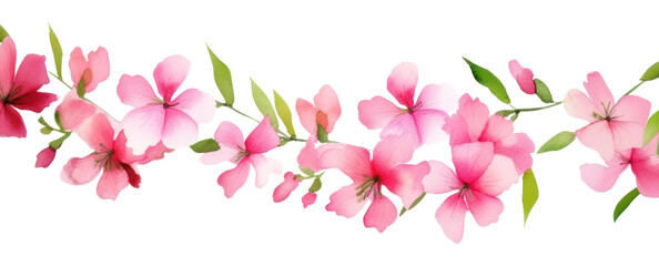 Fototapeta premium PNG Pink flowers blossom petal plant.