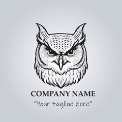Head of Owl logo company design vector illustration