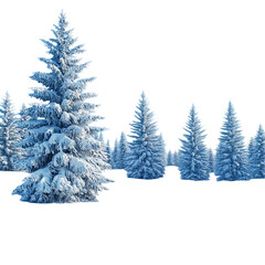 Obraz premium Winter Wonderland: Snow-Covered Pine Trees cold calm white isolated on transparent background