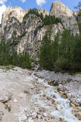 A rushing mountain stream flows over white stones and rugged terrain near the Pisciadu waterfall in the Dolomites, surrounded by alpine trees and cliffs