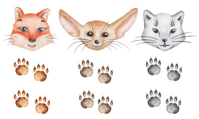 Watercolor illustration. Fox set. Hand painted red fox, fennec, white arctic fox with fluffy cheeks. Cute cartoon animal characters. Heads and paws with claws. Isolated clip art