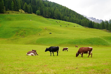Valle Aurina or Ahrntal located in in northern Italy