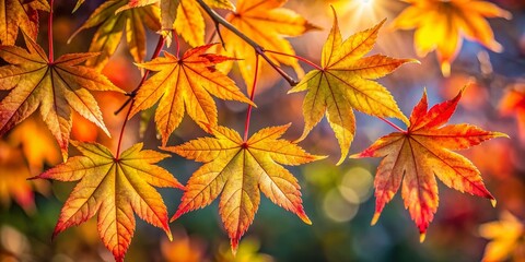 Candid Close-up of Silver Maple Leaves, Autumn Foliage, Nature Photography
