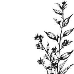 Small leaf plant silhouette pattern wallpaper. Black and white. minimal artwork. simple template. tattoo design. card and package. Vector illustration.