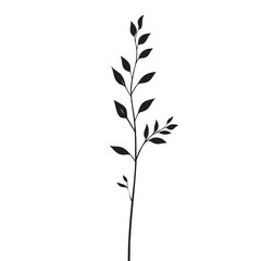 Small leaf plant silhouette pattern wallpaper. Black and white. minimal artwork. simple template. tattoo design. card and package. Vector illustration.