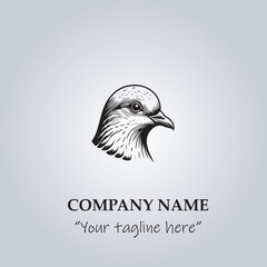 Head of Pigeon logo company design vector illustration
