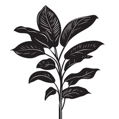 Small leaf plant silhouette pattern wallpaper. Black and white. minimal artwork. simple template. tattoo design. card and package. Vector illustration.