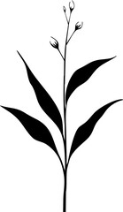 Small leaf plant silhouette pattern wallpaper. Black and white. minimal artwork. simple template. tattoo design. card and package. PNG tranparent.