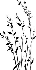 Small leaf plant silhouette pattern wallpaper. Black and white. minimal artwork. simple template. tattoo design. card and package. PNG tranparent.