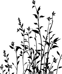 Small leaf plant silhouette pattern wallpaper. Black and white. minimal artwork. simple template. tattoo design. card and package. PNG tranparent.