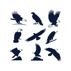 Eagle Silhouette Vector Collection