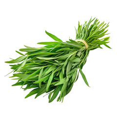 Fototapeta premium Fresh Green Tarragon Leaves Bundle for Culinary and Herbal Uses in Cooking and Garnishing Dishes