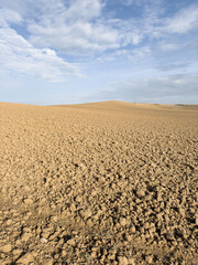 Naklejka premium Agricultural Landscape