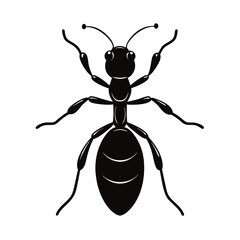 ant vector illustration