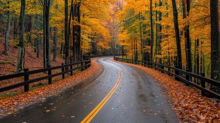 Obraz premium Winding road through autumn forest, leaves on ground, travel scenic route