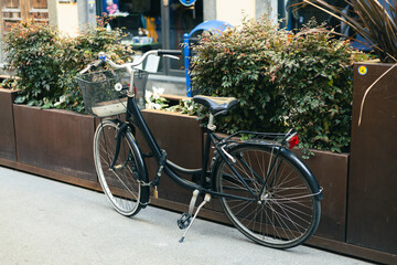 Vintage old bicycle parked in the urban narrow street. City transport concept. Lush green plants...