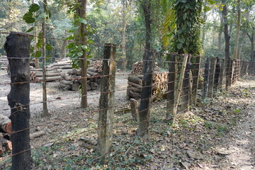 Barbed wire fence constructed with roughly hewn wooden posts, enclosing a storage area for logs