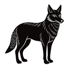 coyote vector illustration