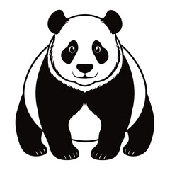panda bear vector illustration