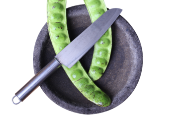 stinky bean. close up of green beans or peas. also known as Petai ( Parkia speciosa ) 