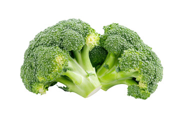 Broccoli isolated on transparent or white background, png
