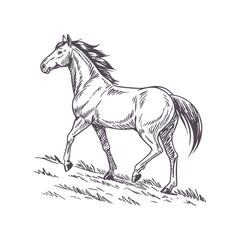 Running Horse Line Art - Minimalist Design with Motion-Suggesting Flowing Mane